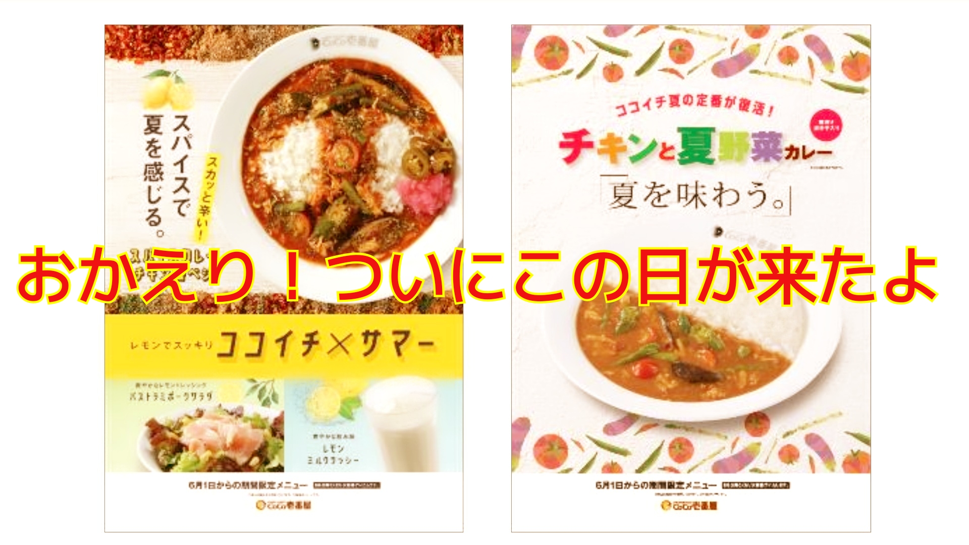 ココイチ チキンと夏野菜カレーは最強の夏カレー おかえり22年の夏 Smile Network スマイルネットワーク