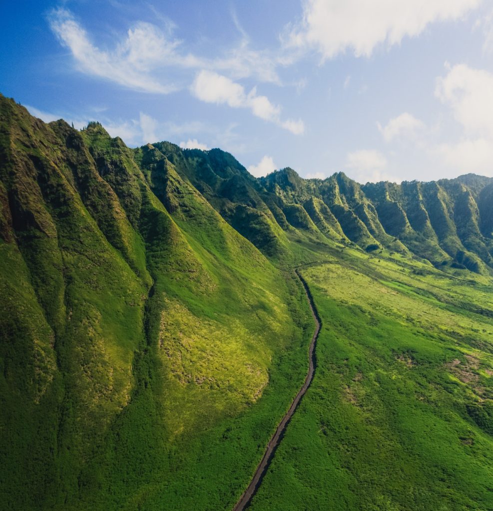 ハワイの自然